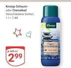 Angebot im GLOBUS Ketsch Prospekt GLOBUS Ketsch Prospekt mit im Angebot für 2,99 €