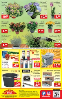 Blumen im Zimmermann Prospekt "Aktuelle Angebote" mit 15 Seiten (Bremen)