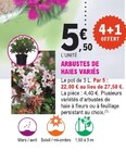 Arbustes de Haies Variés à 5,50 € dans le catalogue E.Leclerc