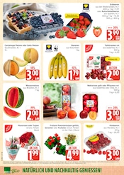 Aktueller Marktkauf Prospekt mit Blumen, "Top Angebote", Seite 6