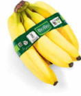 Bio Bananen im Angebot bei Netto Marken-Discount in Bautzen Bio Bananen Angebote von BioBio bei Netto Marken-Discount Bautzen für 1,69 €