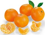 Clementinen/Mandarinen im Angebot bei REWE in Berlin Clementinen/Mandarinen Angebote bei REWE Berlin für 1,59 €