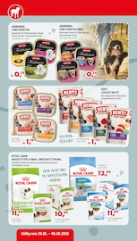 Hundefutter im Zookauf Prospekt in Ansbach Aktueller Zookauf Prospekt mit Hundefutter, "So schmeckt der Frühling", Seite 6