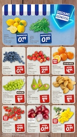 Erdbeeren im nahkauf Prospekt in Wiesbaden Aktueller nahkauf Prospekt mit Erdbeeren, "nichts liegt näher", Seite 3