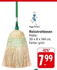 Reisstrohbesen im Angebot bei E center in Böblingen Reisstrohbesen Angebote von Peggy Perfect bei E center Böblingen für 7,99 €