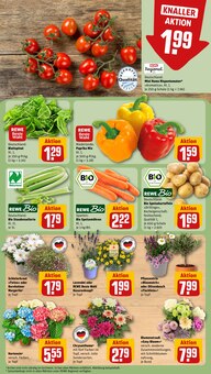 Blumen im aktuellen REWE Prospekt (Nürnberg) Blumen im REWE Prospekt "Dein Markt" mit 28 Seiten (Nürnberg)