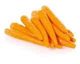 Speisemöhren von GO Regio im aktuellen Netto mit dem Scottie Prospekt