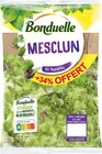 Promo SALADE MESCLUN BONDUELLE à 1,89 € dans le catalogue Super U à Castelnau-d'Estrétefonds