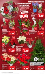 Schnittblumen Angebot im aktuellen Kaufland Prospekt auf Seite 5