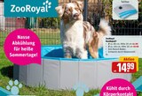 Hundepool Angebote von ZooRoyal bei REWE Lehrte für 14,99 €