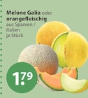 Melone im V-Markt Prospekt Melone Galia im aktuellen V-Markt Prospekt für 1,79 €