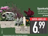 Spankorb im Angebot bei EDEKA in Straubing Spankorb Angebote bei EDEKA Straubing für 6,99 €