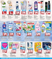 Persil im HIT Prospekt in Warendorf Aktueller HIT Prospekt mit Persil, "ECHTE VIELFALT", Seite 15