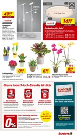 Aktueller toom Baumarkt Prospekt mit Tulpen, "Respekt, wer's selber macht.", Seite 3