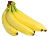 Bio-Bananen im Angebot bei EDEKA in Regensburg Bio-Bananen Angebote bei EDEKA Regensburg für 1,49 €