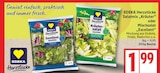 Salatmix Kräuter bei EDEKA im Borgsdorf Prospekt für 1,99 €