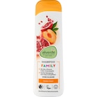 Shampoo Family im Angebot bei dm-drogerie markt in Lüneburg Shampoo Family Angebote von alverde NATURKOSMETIK bei dm-drogerie markt Lüneburg für 1,75 €