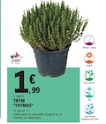 Thym dans le catalogue E.Leclerc