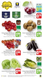 Pilze im EDEKA Prospekt in Offenbach Aktueller EDEKA Prospekt mit Pilze, "Aktuelle Angebote", Seite 5