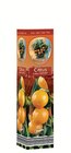 Aktuelle Pflanzen Angebote bei Lidl in Bremen Aktuelles Mediterrane Pflanzen Angebot bei Lidl in Bremen ab 2,99 €