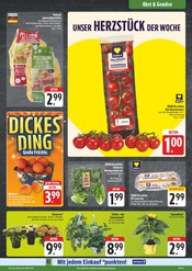 Sonnenblume im EDEKA Prospekt in Erlangen Aktueller EDEKA Prospekt mit Sonnenblume, "Wir lieben Lebensmittel!", Seite 5