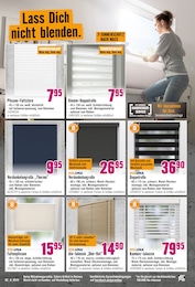 Jalousie Angebot im aktuellen Hornbach Prospekt auf Seite 23