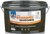 Schimmel-Schock 5.2 Angebote von Tonis bei Netto mit dem Scottie Bautzen für 49,99 €