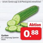 Gurken bei Markant Nordwest im Bramsche Prospekt für 0,88 €