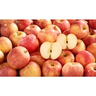 Pomme Gala dans le catalogue Carrefour Market