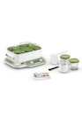 Yaourtiere Seb MULTI DELICES EXPRESS & VEGETAL 6 Pots 6 Programmes Automatiques YG660310 - Seb - Darty Yaourtiere Seb MULTI DELICES EXPRESS & VEGETAL 6 Pots 6 Programmes Automatiques YG660310 - Seb à 99,99 € dans le catalogue Darty