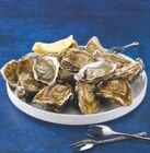 Huitres Marennes Oleron Fines de Claires IGP - U en promo chez Super U Six-Fours-les-Plages à 8,91 €