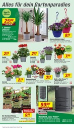 toom Baumarkt Komposter im Prospekt toom Baumarkt Komposter im Prospekt