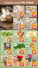 Blumen Angebot & Preis im aktuellen REWE Prospekt Blumen Angebot im aktuellen REWE Prospekt auf Seite 7