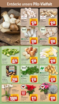 Pflanzen im aktuellen REWE Prospekt (Bremen) Pflanzen im REWE Prospekt "Dein Markt" mit 16 Seiten (Bremen)