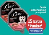 Hundenahrung von Cesar im aktuellen EDEKA Prospekt für 