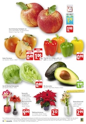 Aktueller EDEKA Prospekt mit Garten, "Aktuelle Angebote", Seite 3