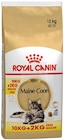 Katzennahrung Angebote von Royal Canin bei REWE Hof für 84,99 €