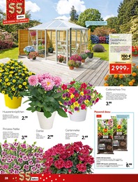 Gewächshaus Angebot im aktuellen Hellweg Prospekt auf Seite 28