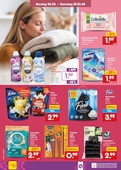 Mülleimer im Netto Marken-Discount Prospekt in Hemer Aktueller Netto Marken-Discount Prospekt mit Mülleimer, "Aktuelle Angebote", Seite 34
