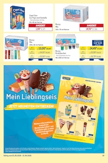 Eis im aktuellen METRO Prospekt (Hildesheim) Eis im METRO Prospekt "Monatsmix Mai" mit 20 Seiten (Hildesheim)