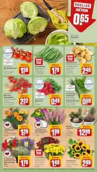 Blumen im aktuellen REWE Prospekt (Nürnberg) Blumen im REWE Prospekt "Dein Markt" mit 28 Seiten (Nürnberg)