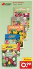 Blumenzwiebel im Angebot bei Netto Marken-Discount in Borken Blumenzwiebel Angebote bei Netto Marken-Discount Borken für 0,99 €