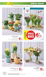 Promos Plantes dans le catalogue "Super U" de Super U Plantes en promo dans le catalogue Super U à la page 15
