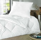 Aktuelles Kopfkissen 40x80 cm Angebot bei Ostermann in Duisburg ab 19,90 €