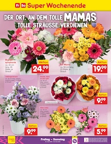 Blumen im Netto Marken-Discount Prospekt "Aktuelle Angebote" mit 69 Seiten (Chemnitz)