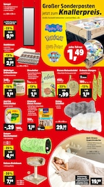 Katzenfutter im Thomas Philipps Prospekt in Pinneberg Aktueller Thomas Philipps Prospekt mit Katzenfutter, "Top Angebote", Seite 11