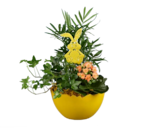 Bepflanzte Eierschale  im aktuellen Lidl Prospekt für 5,99 €