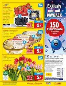 Erdbeeren im Netto Marken-Discount Prospekt "Aktuelle Angebote" mit 65 Seiten (München)