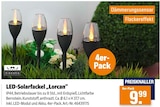 LED-Solarfackel Lorcan bei Werkers Welt im Prospekt "" für 9,99 €