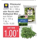 Pflücksalat oder Rucola oder Blattspinat Mini  im aktuellen Marktkauf Prospekt für 1,00 €